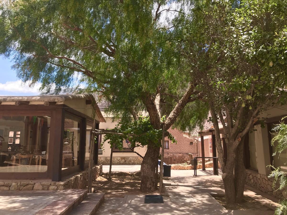Las Vicunas Departamentos Purmamarca Luaran gambar