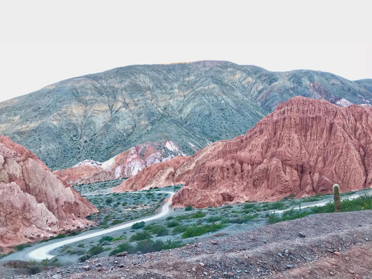 Las Vicunas Departamentos Purmamarca Luaran gambar